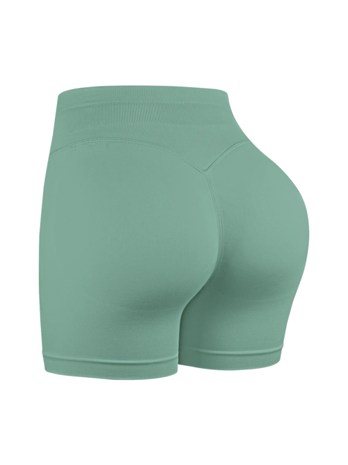 KeiLuxury Seamless Sculpt Shorts